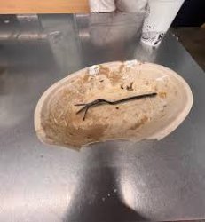 Chipotle Bowl Meme Template