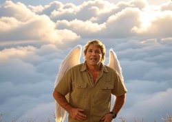 Steve Irwin Meme Template