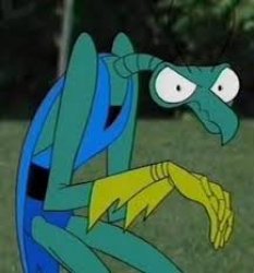 Why Not Klugman Meme Template