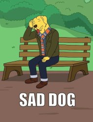 mr. peanutbutter sad Meme Template