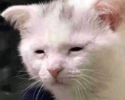 I'm tired Meme Template