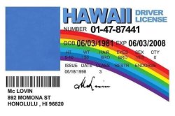 Hawaii driver license Meme Template