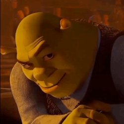 SMug Shrek Meme Template