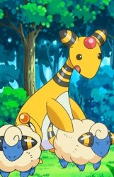ampharos sus Meme Template