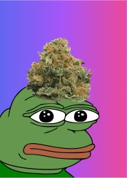 Pepe with weed Meme Template