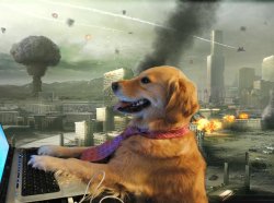 Dog typing with world burning Meme Template