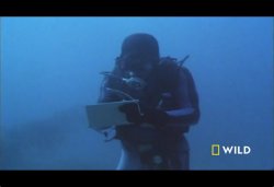 Writing underwater Meme Template