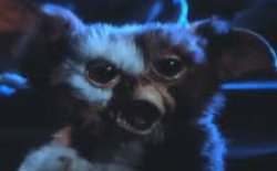 Cringing Gizmo Meme Template