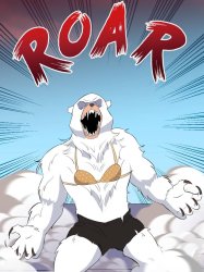 Bear transformation lady version Meme Template