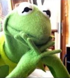 Kermit "No please" Meme Template