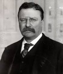 Teddy Roosevelt Meme Template