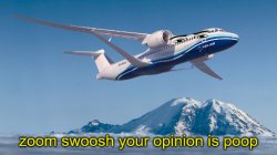 ZOOM SWOOSH YOUR OPINION IS POOP Meme Template