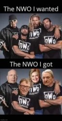 The NWO you wanted vs Meme Template