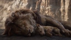 dead lions Meme Template