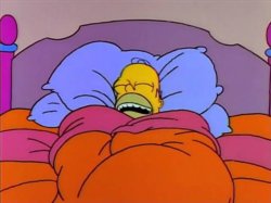 Homer Buritto Meme Template