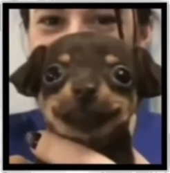 :) Meme Template