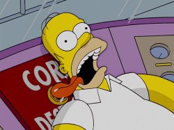 Homer Simpson Meme Template