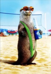 Otter Meme Template