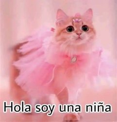 Hola soy una niña Meme Template