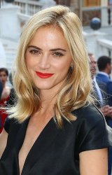 NCIS Bishop, Emily Wickersham Stunningly Beautiful Meme Template