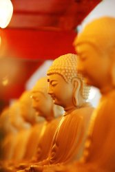 Spiritual orange Buddha Meme Template