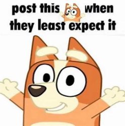 post this bingo heeler when they least expect it Meme Template