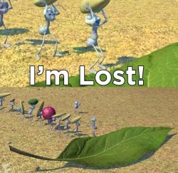 A bugs life I’m lost Meme Template