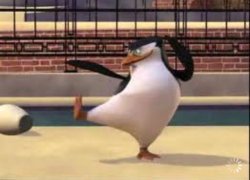 Karate pinguin Meme Template