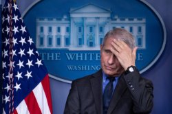 Fauci Meme Template