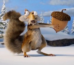 Ice age squirrel Meme Template