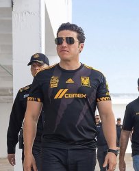 Samuel_tigres Meme Template