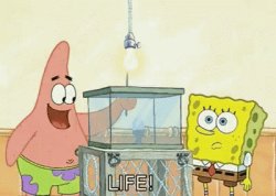 Patrick - Life Death Meme Template