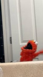 Elmo on drugs Meme Template