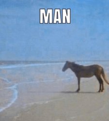 horse man beach Meme Template