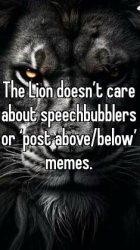 The Lion doesn’t care Meme Template