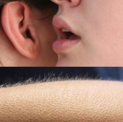 Whispering Equities Meme Template