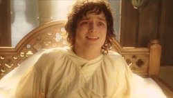 Frodo wake up Meme Template