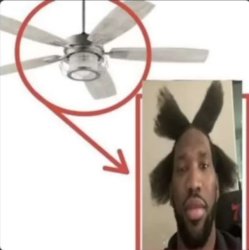 fan Meme Template