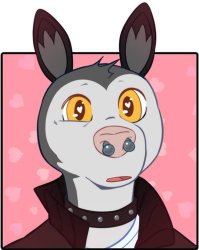 Possum guy Meme Template