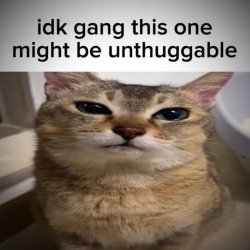 idk gang this one might be unthugable Meme Template
