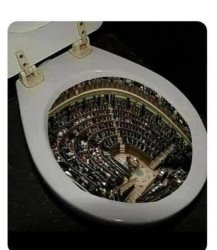 Congress in the toilet Meme Template