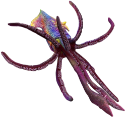 Level 40 Tusoteuthis Meme Template