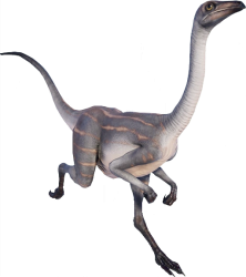 Struthiomimus (JWE Design) Meme Template
