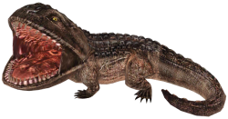 Koolasaurus Meme Template