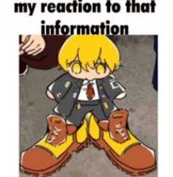 my reaction to that information Meme Template