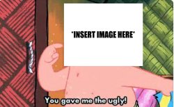 You Gave Me The Ugly Meme Template
