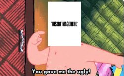 You Gave Me The Ugly Meme Template