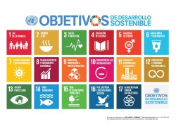 Agenda 2030 del Desarrollo Sostenible Meme Template
