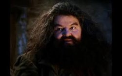 hagrid yer a wizard Meme Template