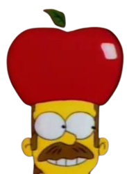 Ned Flanders Meme Template